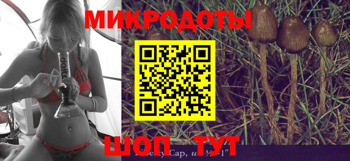 купить закладку  Псилоцибиновые грибы мицелий  Вход с VPN  Ярославль 