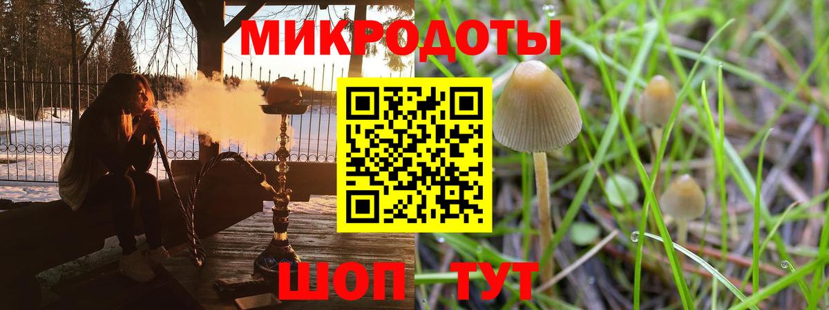 Галлюциногенные грибы Psilocybine cubensis Ярославль